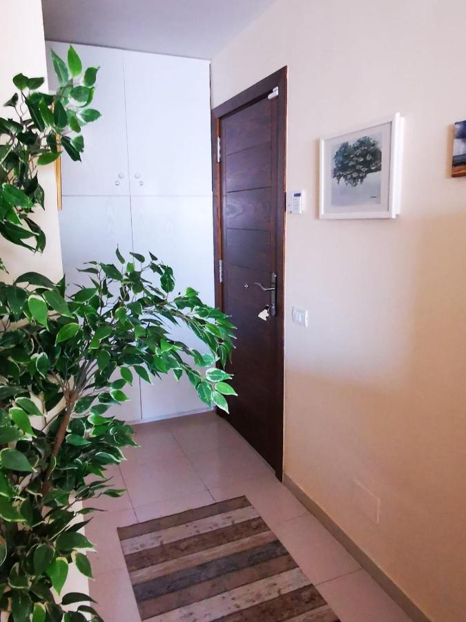 Bookinn Golf Park Sunny Cozy Apartment Near The Ocean With Large Double Terraces, Fiber Wifi, 3 Pools, Bbq Tenerife South 圣米格尔德阿沃纳 外观 照片